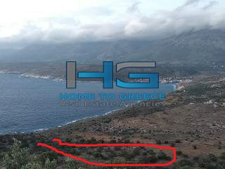 Πωλείται μοναδική έκταση 25.000 τ.μ. άρτια και οικοδομήσιμη, μόλις 100 μ. από τη θάλασσα.