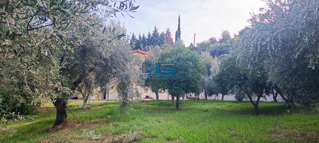 Άνω Λουτρό του Δήμου Ξυλοκάστρου – Ευρωστίνης 2 ανεξάρτητες κατοικίες 85τ.μ. + 85τ.μ.