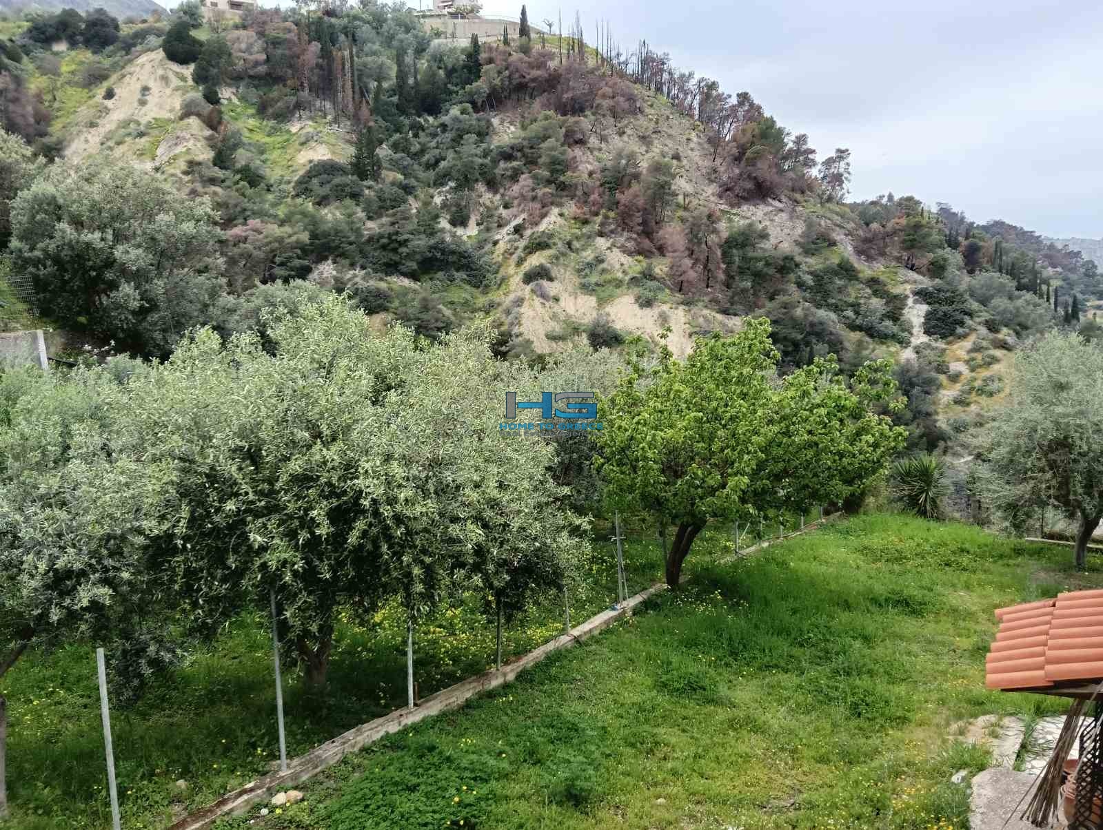 Άνω Λουτρό του Δήμου Ξυλοκάστρου – Ευρωστίνης 2 ανεξάρτητες κατοικίες 85τ.μ. + 85τ.μ.