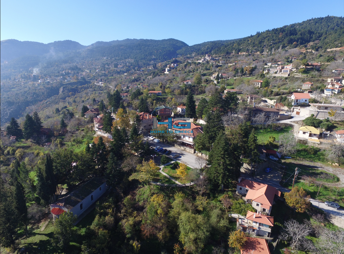 Επενδυτικά Οικόπεδα 2.673τ.μ. στη Μεσαία Τρικάλα Κορινθίας