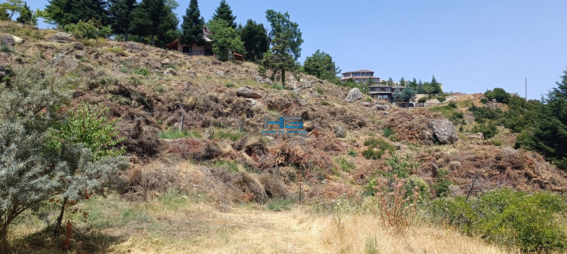 Επενδυτικά Οικόπεδα 2.673τ.μ. στη Μεσαία Τρικάλα Κορινθίας