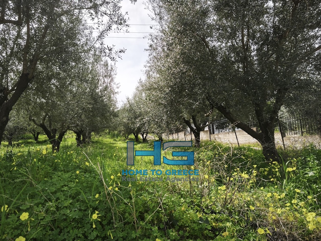 ΜΕΛΙΣΣΙ – ΞΥΛΟΚΑΣΤΡΟ Πωλείται Οικόπεδο 5.500 τ.μ. με θέα Κορινθιακό