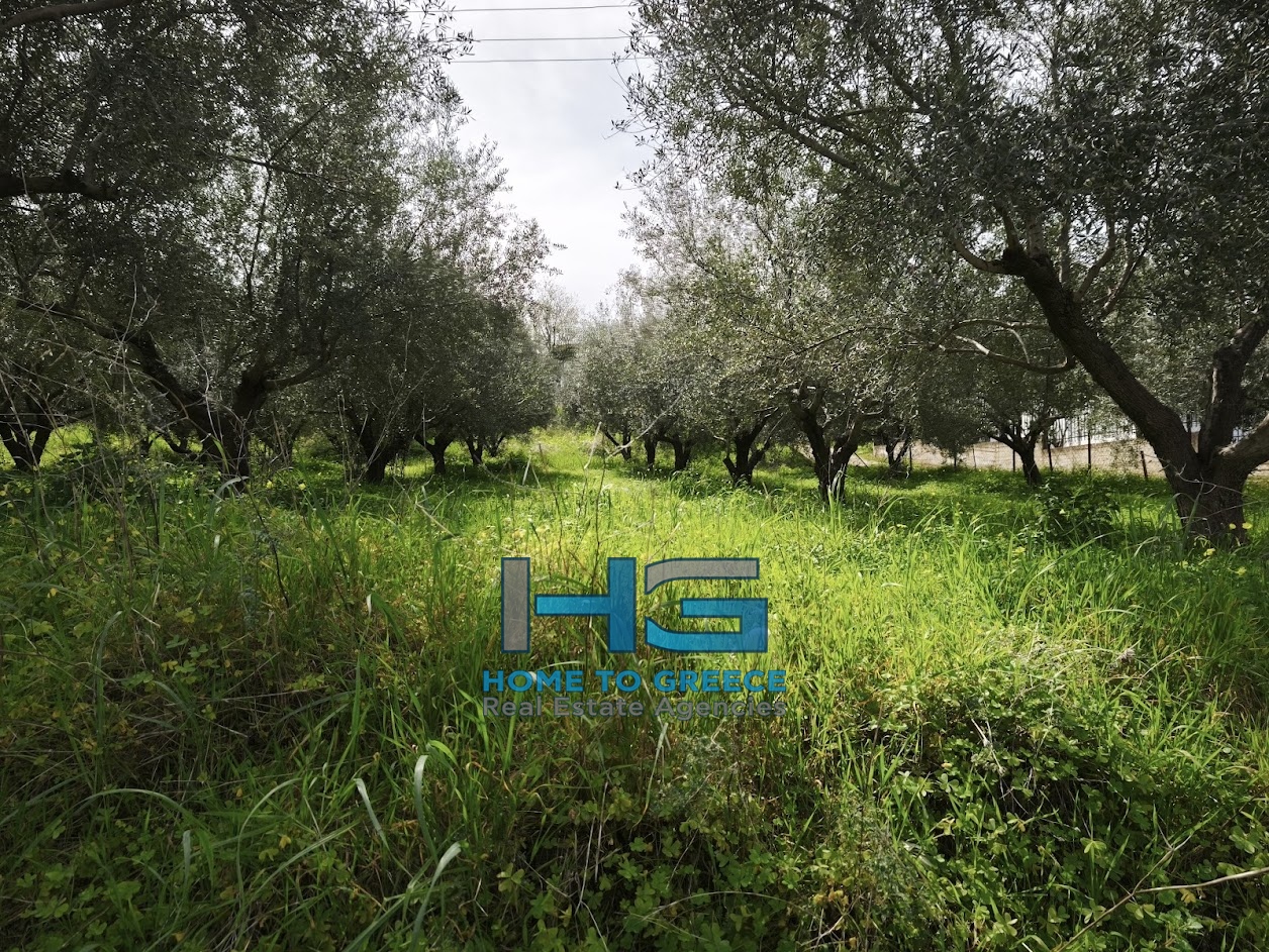 ΜΕΛΙΣΣΙ – ΞΥΛΟΚΑΣΤΡΟ Πωλείται Οικόπεδο 5.500 τ.μ. με θέα Κορινθιακό