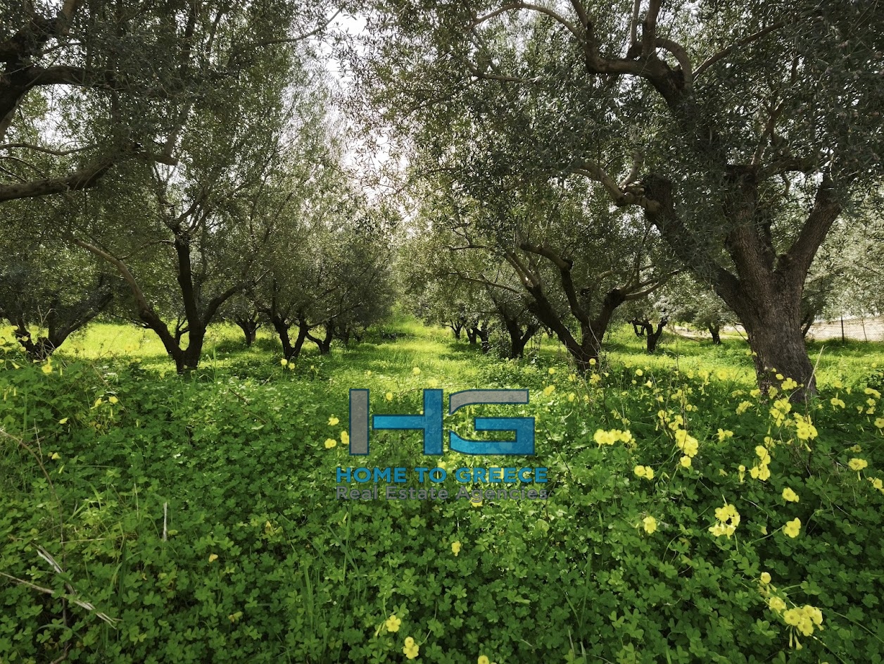 ΜΕΛΙΣΣΙ – ΞΥΛΟΚΑΣΤΡΟ Πωλείται Οικόπεδο 5.500 τ.μ. με θέα Κορινθιακό