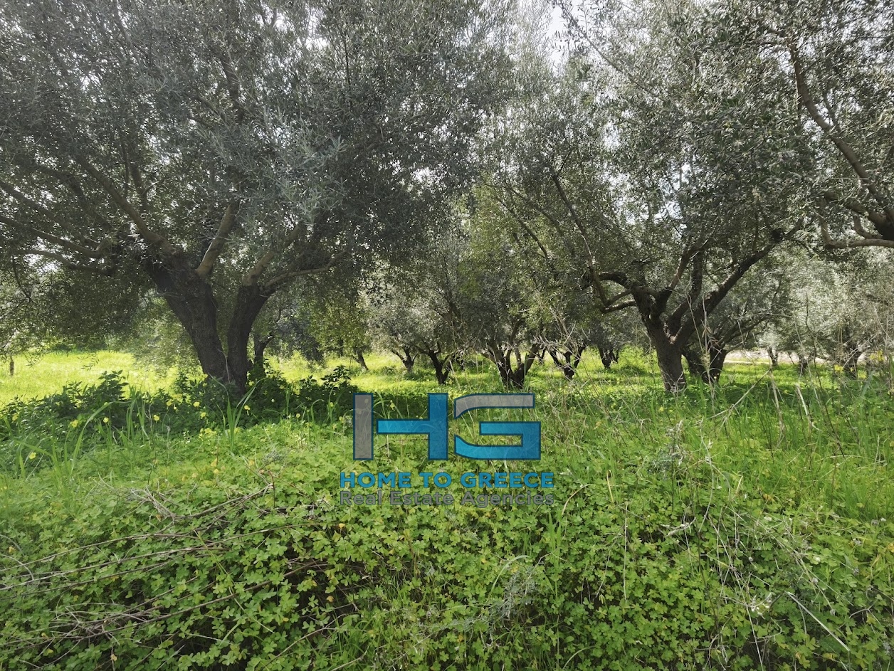 ΜΕΛΙΣΣΙ – ΞΥΛΟΚΑΣΤΡΟ Πωλείται Οικόπεδο 5.500 τ.μ. με θέα Κορινθιακό