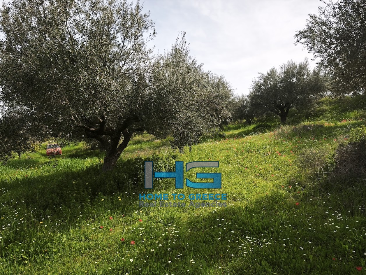 ΜΕΛΙΣΣΙ – ΞΥΛΟΚΑΣΤΡΟ Πωλείται Οικόπεδο 5.500 τ.μ. με θέα Κορινθιακό