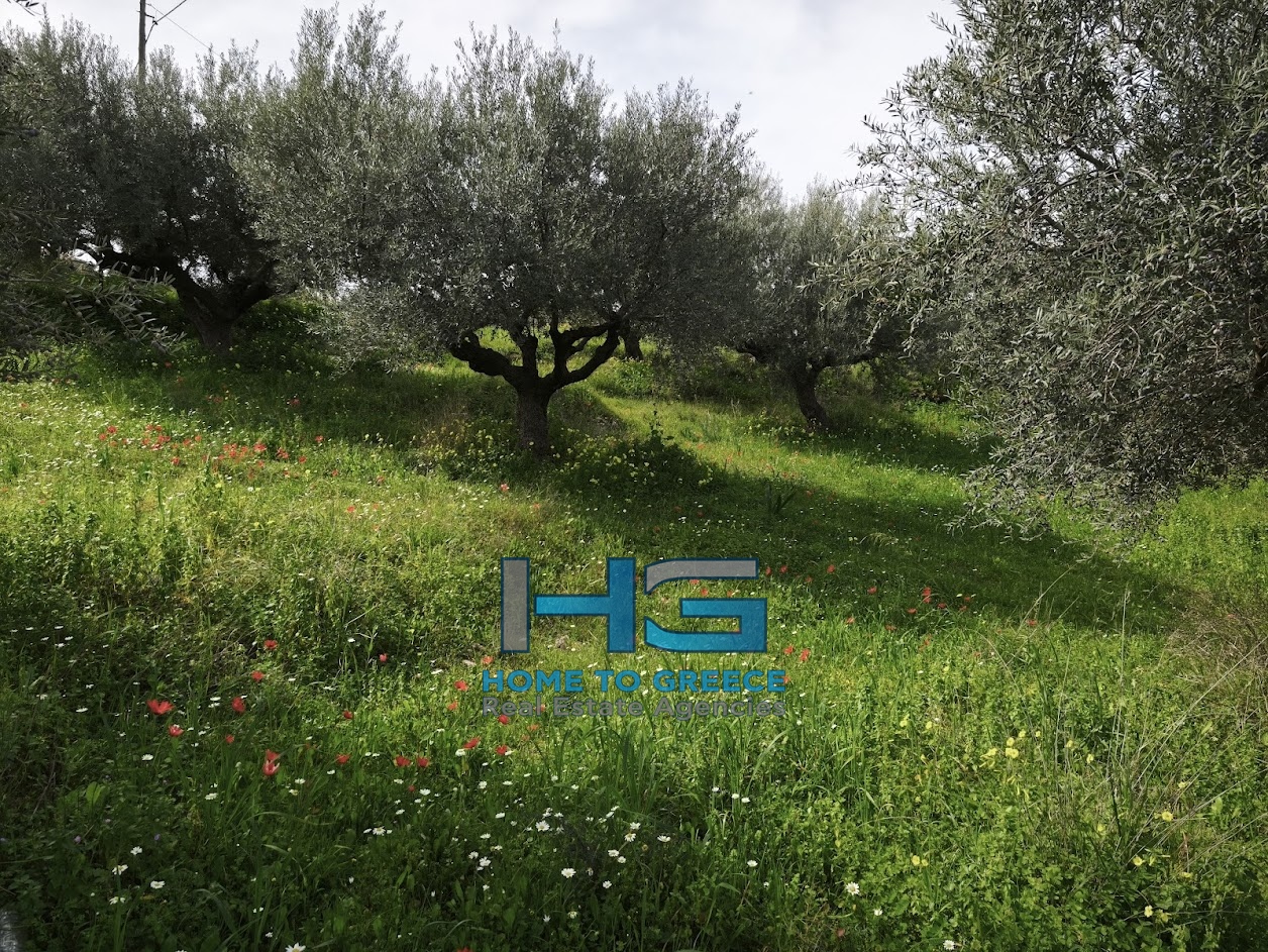 ΜΕΛΙΣΣΙ – ΞΥΛΟΚΑΣΤΡΟ Πωλείται Οικόπεδο 5.500 τ.μ. με θέα Κορινθιακό