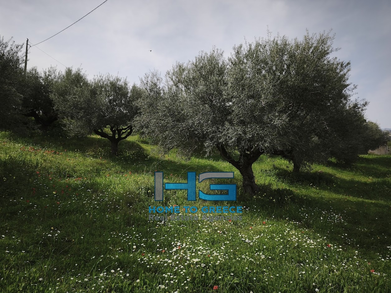 ΜΕΛΙΣΣΙ – ΞΥΛΟΚΑΣΤΡΟ Πωλείται Οικόπεδο 5.500 τ.μ. με θέα Κορινθιακό