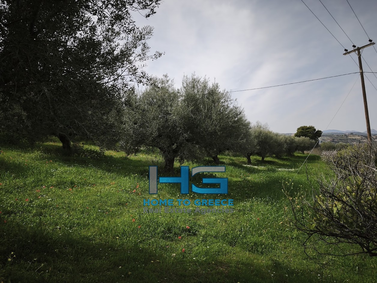 ΜΕΛΙΣΣΙ – ΞΥΛΟΚΑΣΤΡΟ Πωλείται Οικόπεδο 5.500 τ.μ. με θέα Κορινθιακό