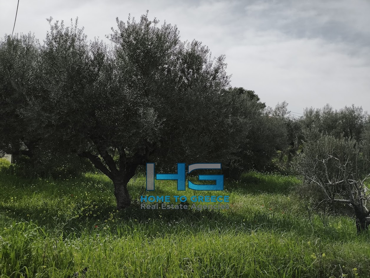 ΜΕΛΙΣΣΙ – ΞΥΛΟΚΑΣΤΡΟ Πωλείται Οικόπεδο 5.500 τ.μ. με θέα Κορινθιακό