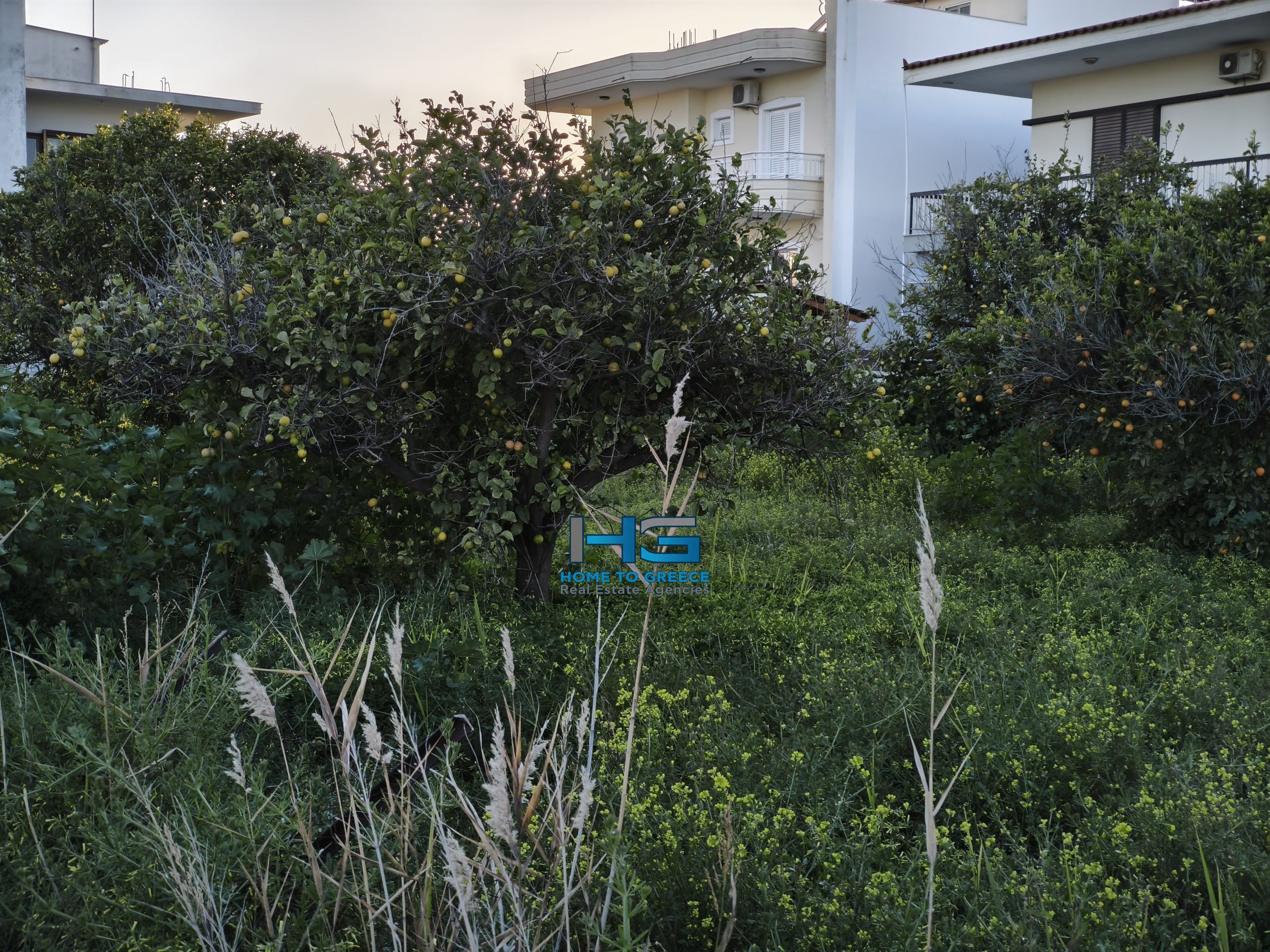 Οικόπεδο 921 τ.μ. – Ιδανική Επενδυτική Ευκαιρία με Δυνατότητα Διπλής Ανάπτυξης