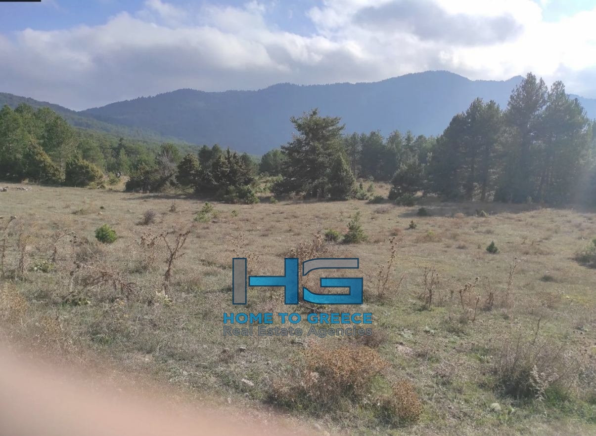 Προνομιακό Επενδυτικό Οικόπεδο 4.200 τ.μ. στην Καρυά Ξυλοκάστρου – Κατάλληλο για Ξενοδοχείο / Ξενώνες