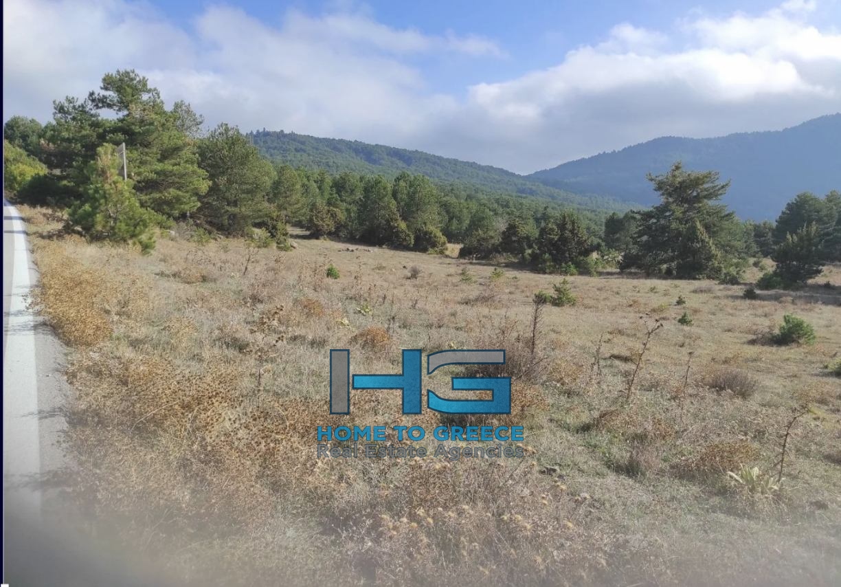 Προνομιακό Επενδυτικό Οικόπεδο 4.200 τ.μ. στην Καρυά Ξυλοκάστρου – Κατάλληλο για Ξενοδοχείο / Ξενώνες